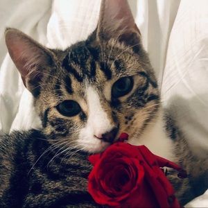 Meet your Posher, Julie